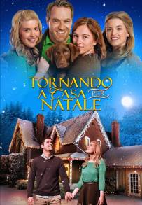 Tornando a casa per Natale (2014)