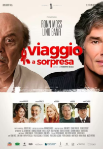 Viaggio a sorpresa (2022)