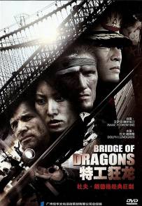 Il ponte del dragone (1999)