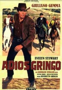 Adios Gringo (1965)