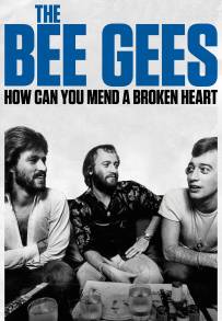 The Bee Gees: How Can You Mend a Broken Heart (2020)