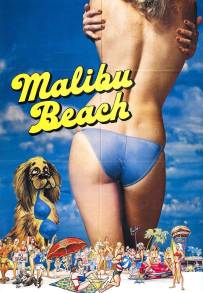 I ragazzi della spiaggia di Malibu (1978)