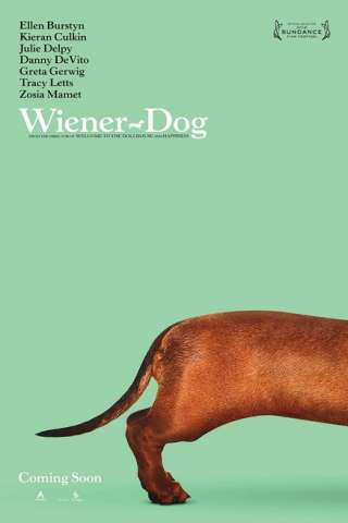 Wiener-Dog [HD] (2016 CB01)