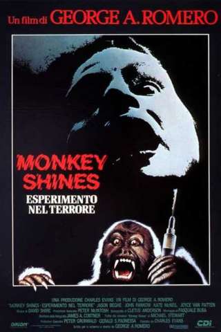 Monkey Shines - Esperimento nel terrore [HD] (1988 CB01)