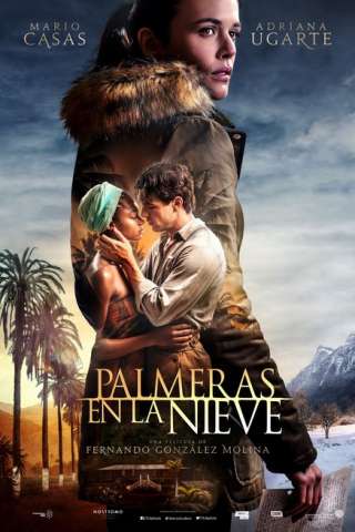 Palme nella neve [HD] (2015 CB01)