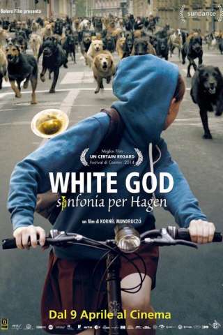 White God - Sinfonia per Hagen [HD] (2014 CB01)