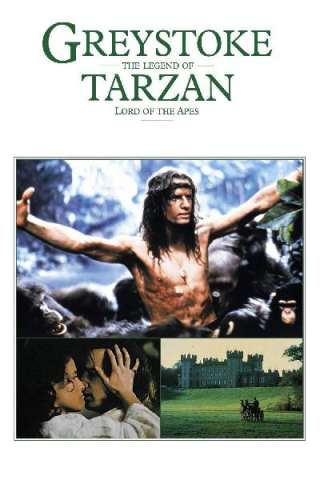 Greystoke - la leggenda di Tarzan il signore delle scimmie [HD] (1984 CB01)