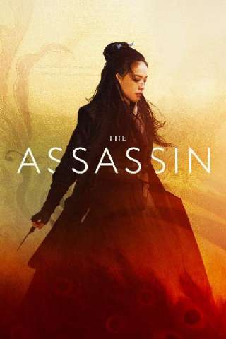 The Assassin [HD] (2015 CB01)