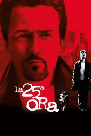 La 25ª ora [HD] (2002 CB01)