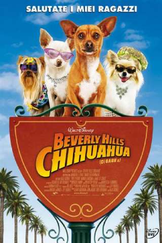 Beverly Hills Chihuahua [HD] (2008 CB01)