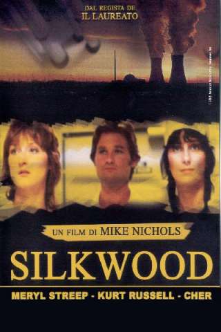 Silkwood [HD] (1983 CB01)