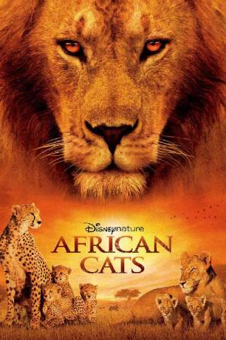 African Cats - Il regno del coraggio [HD] (2011 CB01)