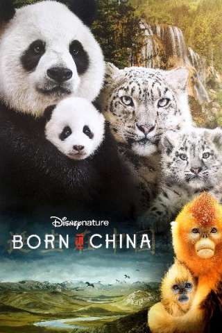 Born in China [HD] (2017 CB01)