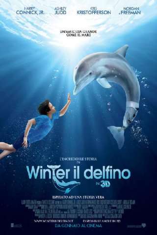 L'incredibile storia di Winter il delfino [HD] (2011 CB01)