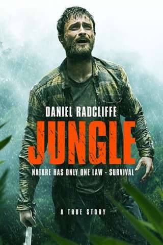 Jungle [HD] (2017 CB01)