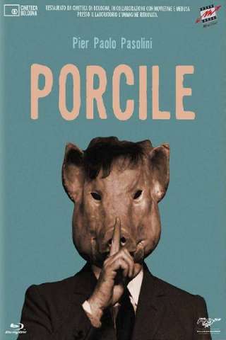 Porcile [HD] (1969 CB01)