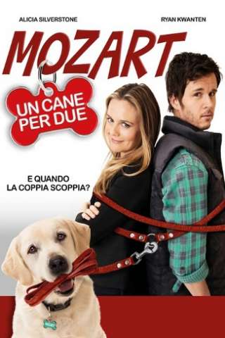 Mozart, un cane per due [HD] (2016 CB01)