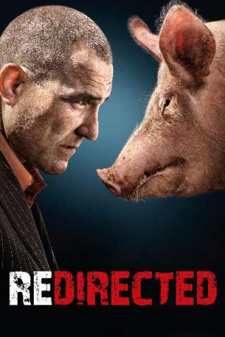 Redirected [HD] (2014 CB01)