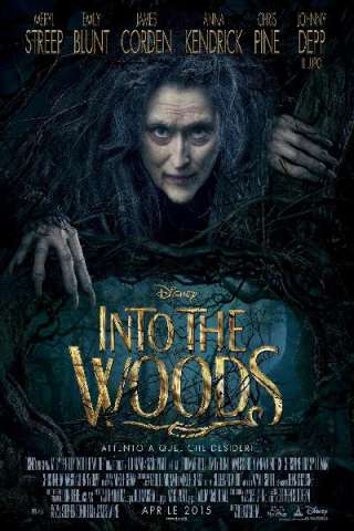 Into the Woods [HD] (2014 CB01)