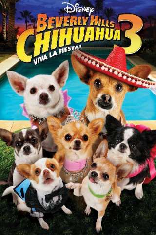 Beverly Hills Chihuahua 3 - Viva La Fiesta! [HD] (2012 CB01)