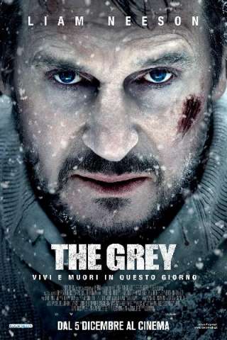 The Grey [HD] (2012 CB01)