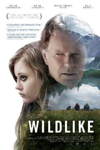 Wildlike [HD] (2014 CB01)