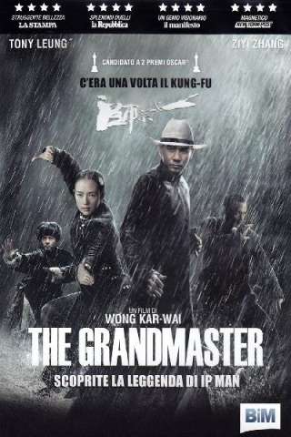 The Grandmaster [HD] (2013 CB01)