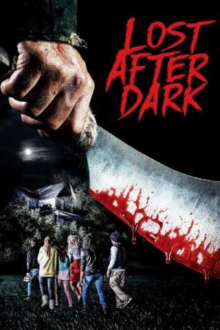 Lost After Dark [HD] (2014 CB01)