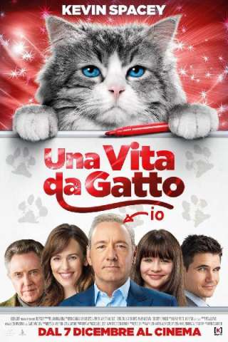 Una vita da gatto [HD] (2016 CB01)