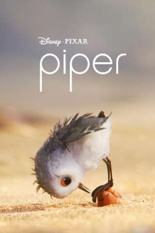 Piper [HD] (2016 CB01)