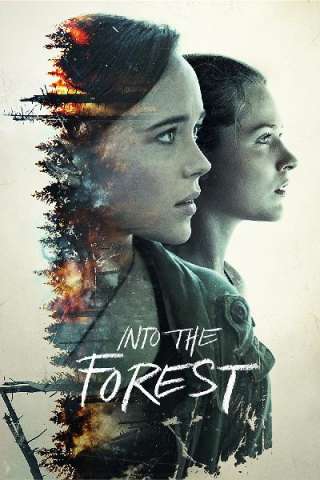 Into the Forest [HD] (2016 CB01)