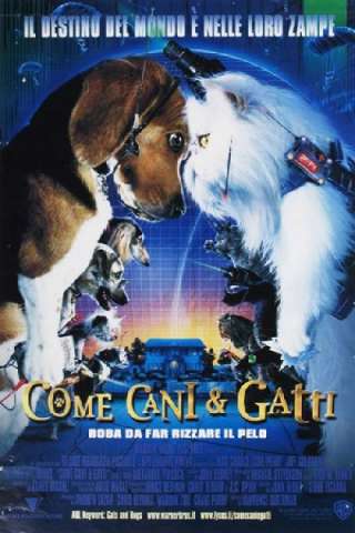 Come cani e gatti [HD] (2001 CB01)