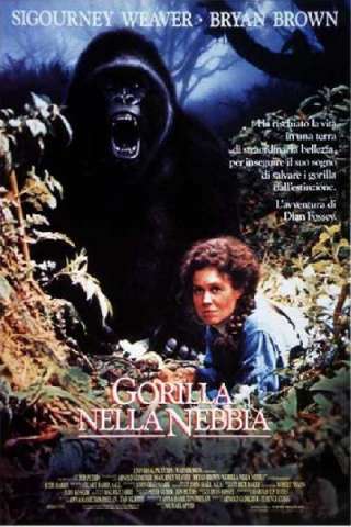 Gorilla nella nebbia [HD] (1988 CB01)