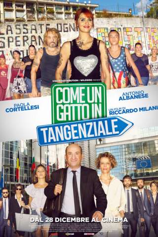 Come un gatto in tangenziale [HD] (2017 CB01)