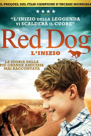 Red Dog: L'inizio [HD] (2016 CB01)