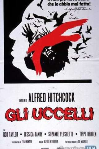 Gli uccelli [HD] (1963 CB01)