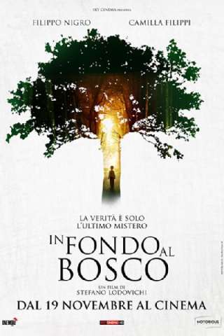 In fondo al bosco [HD] (2015 CB01)