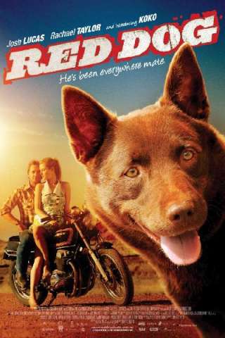 Red Dog [HD] (2011 CB01)