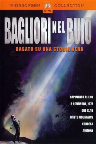 Bagliori nel buio [HD] (1993 CB01)