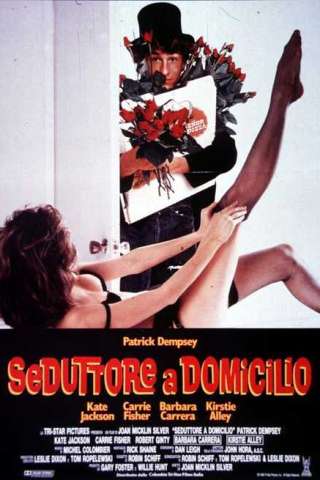 Seduttore a domicilio [HD] (1989 CB01)