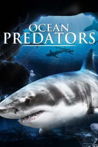 Ocean Predators [HD] (2013 CB01)