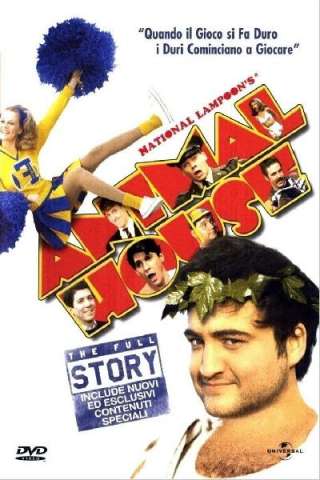 Animal House [HD] (1978 CB01)