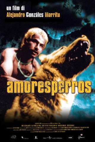 Amores perros [HD] (2000 CB01)