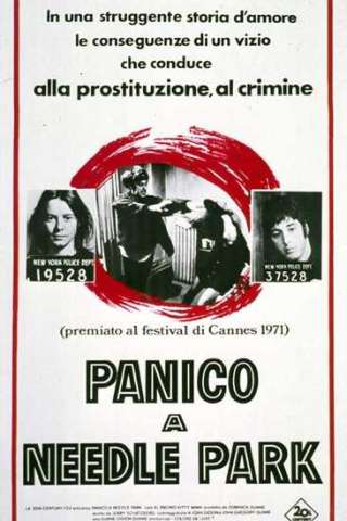 Panico a Needle Park [HD] (1971 CB01)