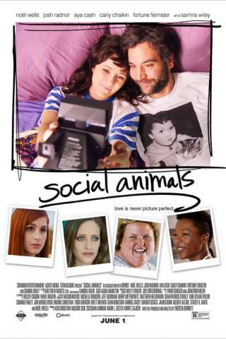 Social Animals [HD] (2018 CB01)