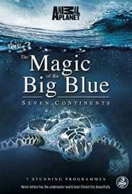 The Magic of The Big Blue [HD] (2013 CB01)