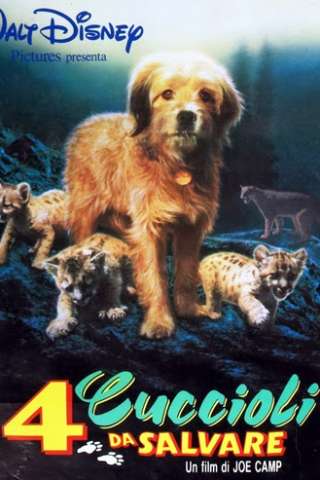 4 cuccioli da salvare [HD] (1987 CB01)