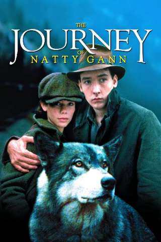 Il viaggio di Natty Gann [HD] (1985 CB01)