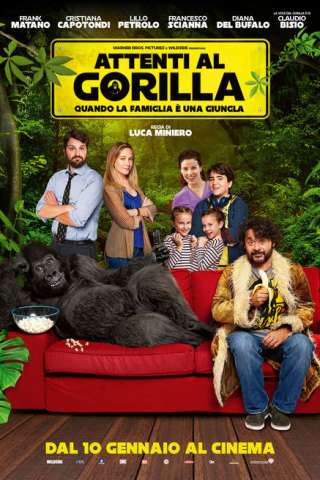 Attenti al gorilla [HD] (2019 CB01)