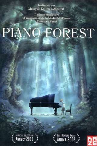 Piano Forest - Il piano nella foresta [HD] (2007 CB01)